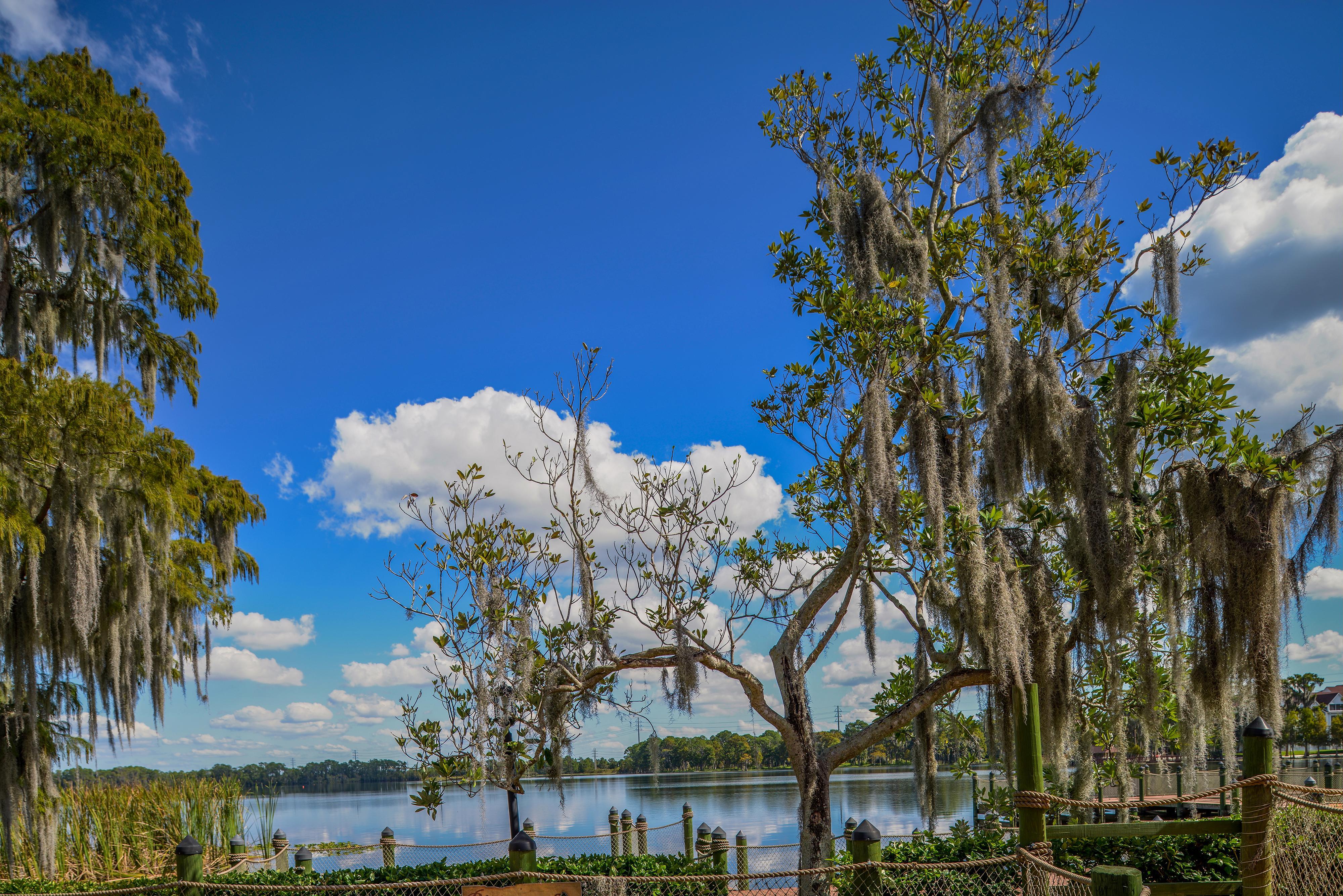 Bryan'S Spanish Cove Lake Buena Vista Zewnętrze zdjęcie